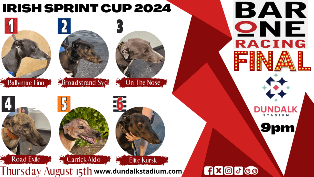 Bar One Racing Irish Sprint Cup 2024 Finalists